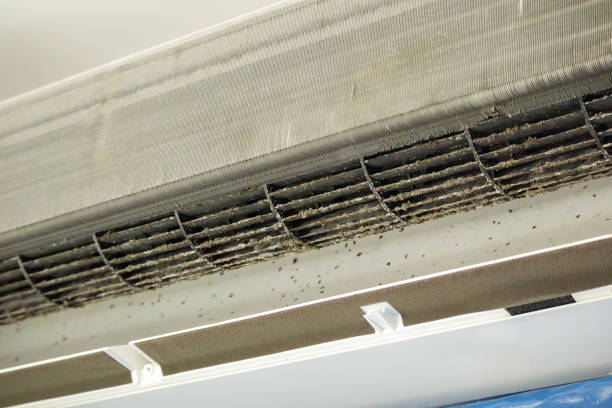 Best Ductwork Odor Removal in Bear Creek, AL